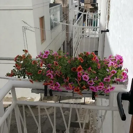 Casa Silvia - Fattapposta *